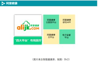 BAT如何布局移動(dòng)醫(yī)療數(shù)據(jù)處理服務(wù) 戰(zhàn)略、技術(shù)與未來展望